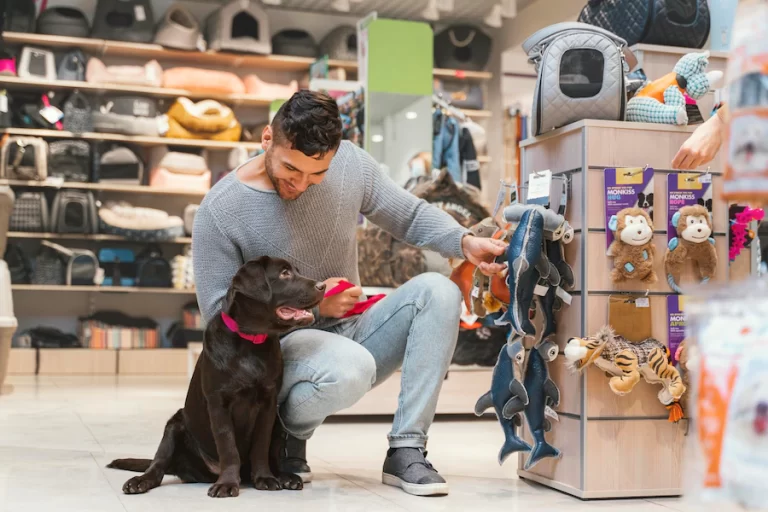 Tudo o que você precisa saber sobre a contabilidade especializada em pet shop