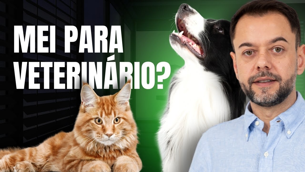 Veterinário pode ser MEI? Entenda Tudo Sobre o Assunto